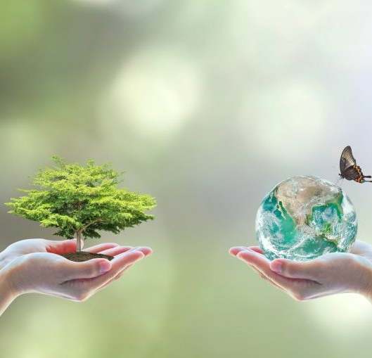 Fotolia_119789986_Subscription_XXL-825x510