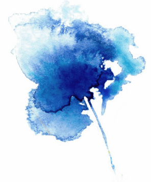 fleur-bleue-e1545310862749.png